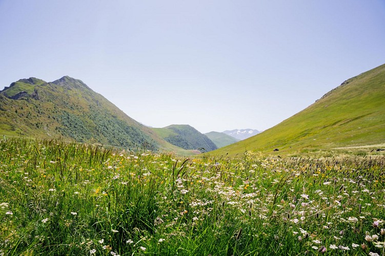 At the Col de Sarenne (1999 m)