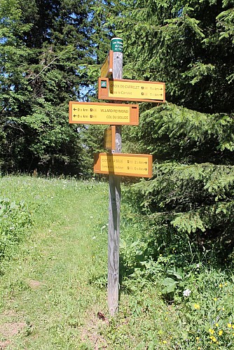 Rando trail - n°7 Black - Loop of 3 Villards