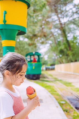 Petit_train_cap_ferret