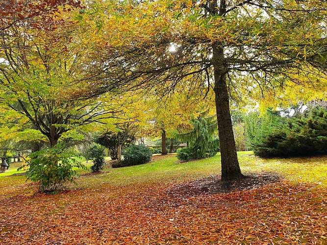 BESSINES Arboretum Mairie Bessines (6)
