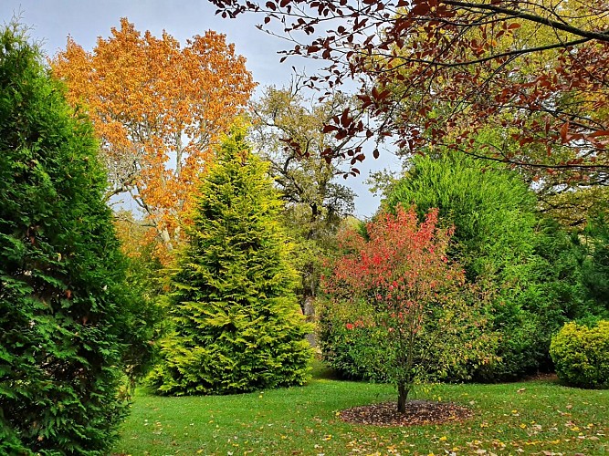 BESSINES Arboretum Mairie Bessines (1)