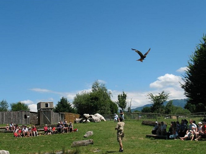 Les Aigles du Léman