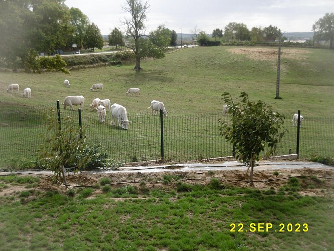 vue sur la campagne