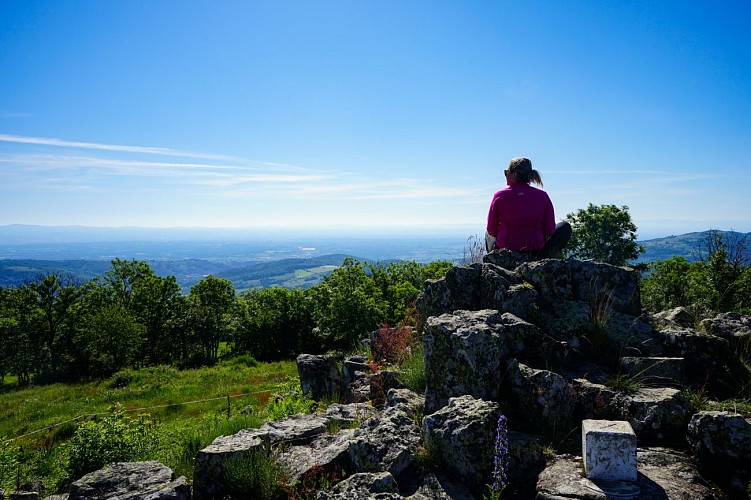 Le Puy de Chavanne - Les Orgues basaltiques