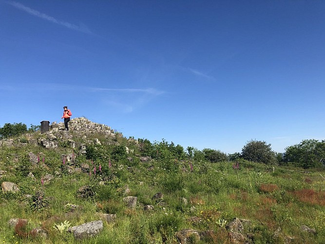 Le Puy de Chavanne - Les Orgues basaltiques