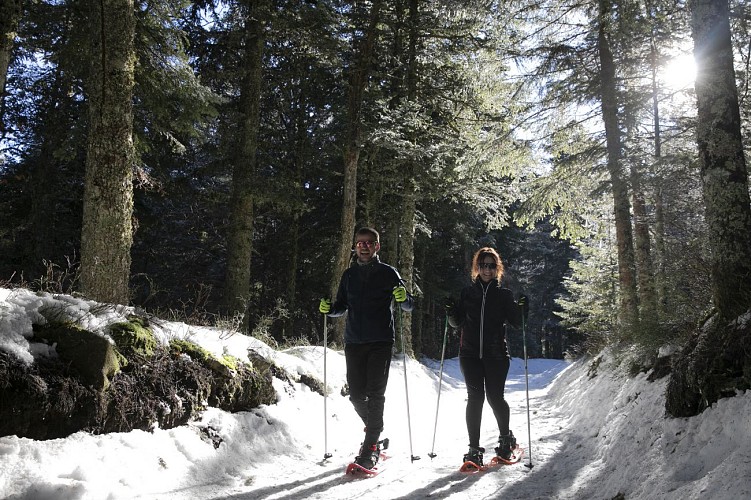 Domaine nordique du  Col de la Loge