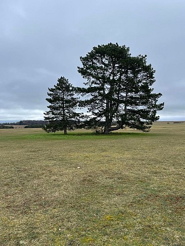 Le plateau de Malzéville