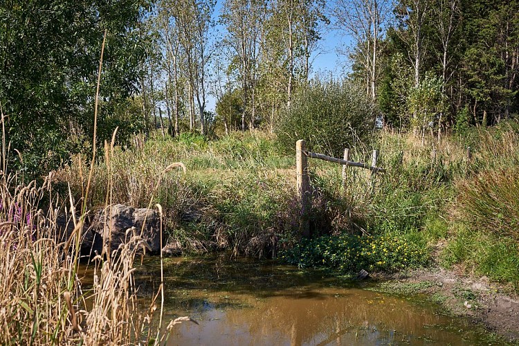 MARAIS DU BOIVRE