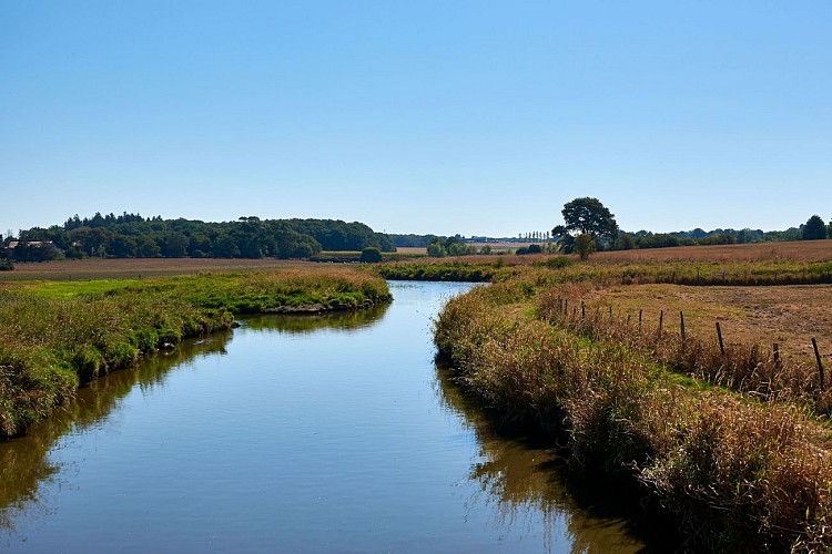 MARAIS DU BOIVRE