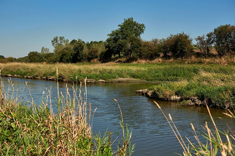 MARAIS DU BOIVRE