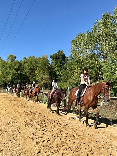 Ecuries des petites Fontaines VILLETOUREIX (5)
