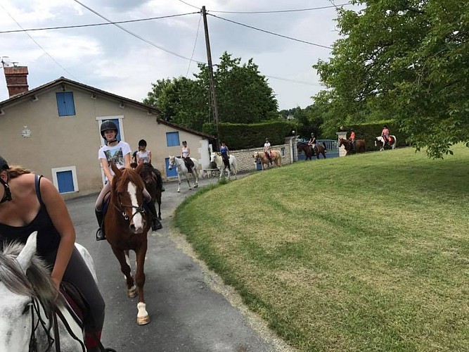 Ecuries des petites Fontaines VILLETOUREIX (4)