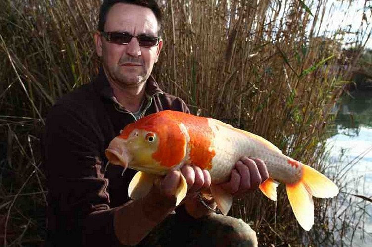 Peche-lac-de-sames-carpe-koi