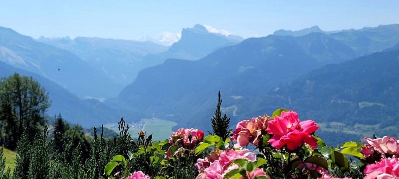 Goûter à la Ferme des Cimes