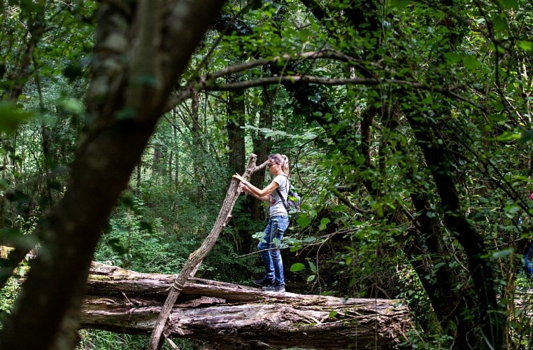 Vallée mystérieuse chateau bois activité enfants_bridoire_2022_hd