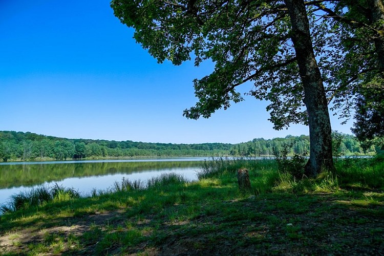 Réserve naturelle de la Grande Pile