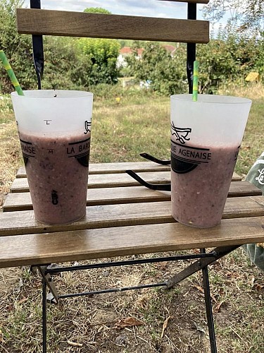 Barque agenaise-Agen-2