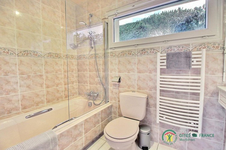 Les Hirondelles des mers