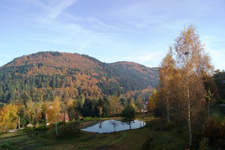 A l'orée du bois - meublé capucine - 4 personnes
