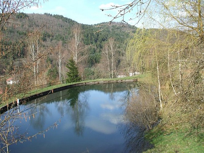 A l'orée du bois - meublé capucine - 4 personnes