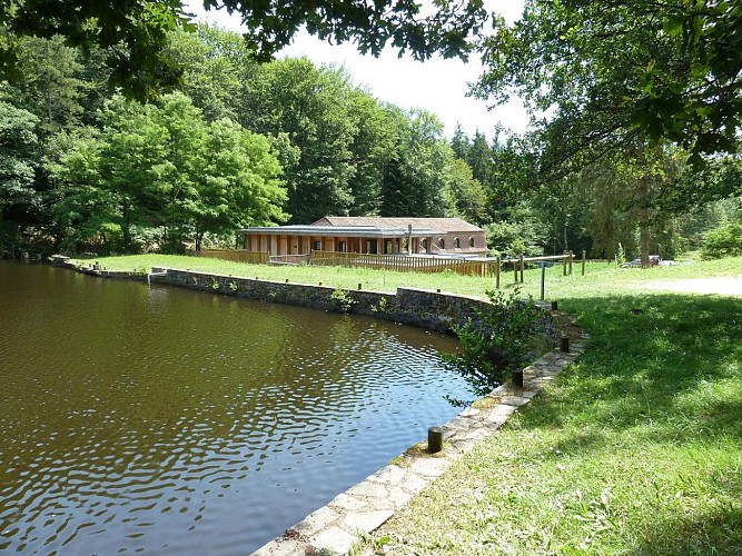 la coquille la barde2