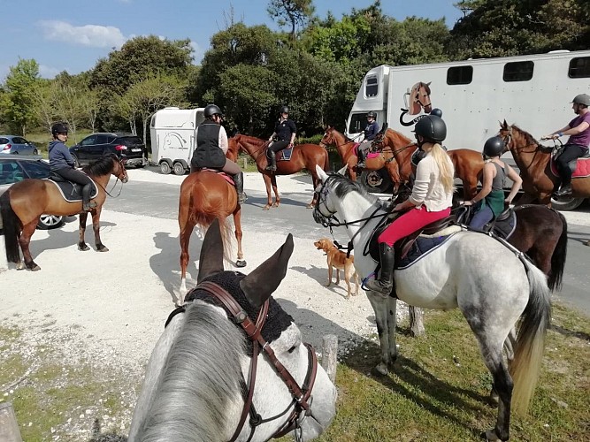 Centre équestre l'Eperon_7