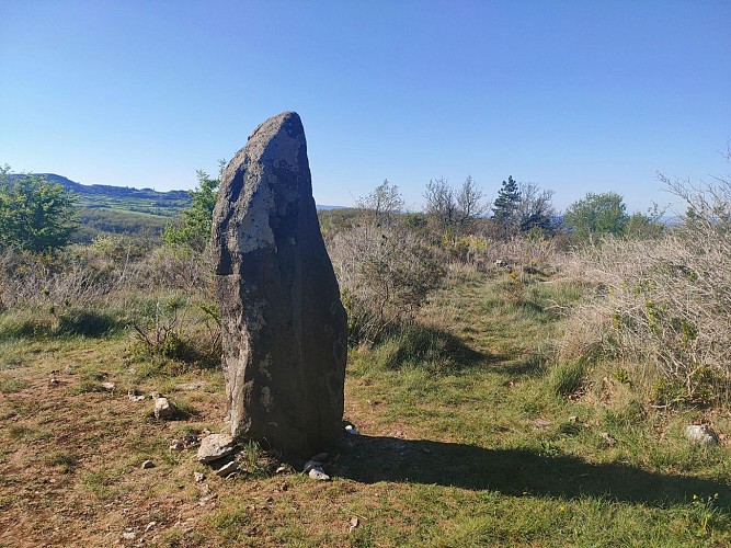 Dolmens et menhirs