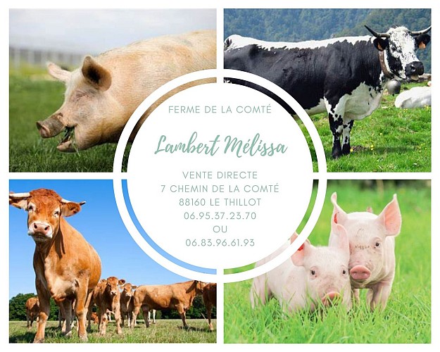 Farm - La Ferme de la Comté