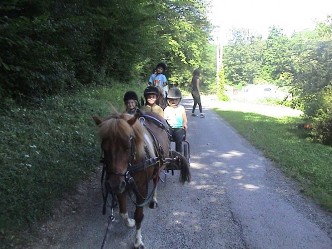Les poneys Mômes d'Hélène