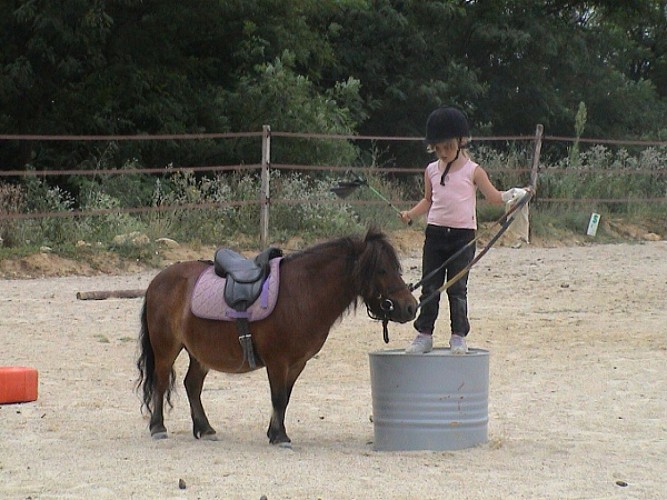 Poney Momes 5