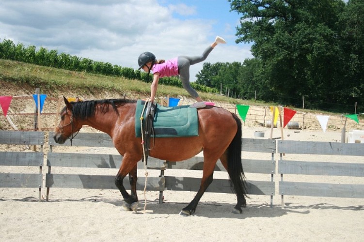 Les poneys Mômes d'Hélène