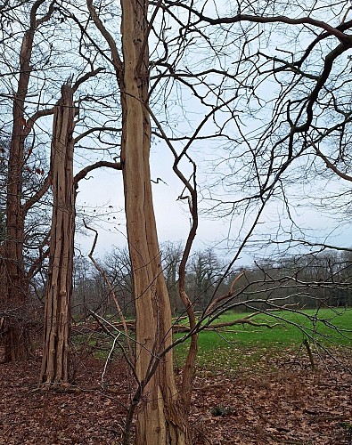 image du object