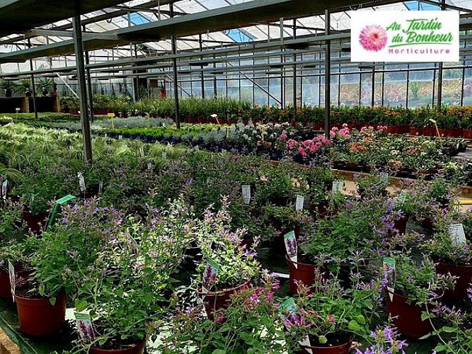 LES SERRES "AU JARDIN DU BONHEUR"