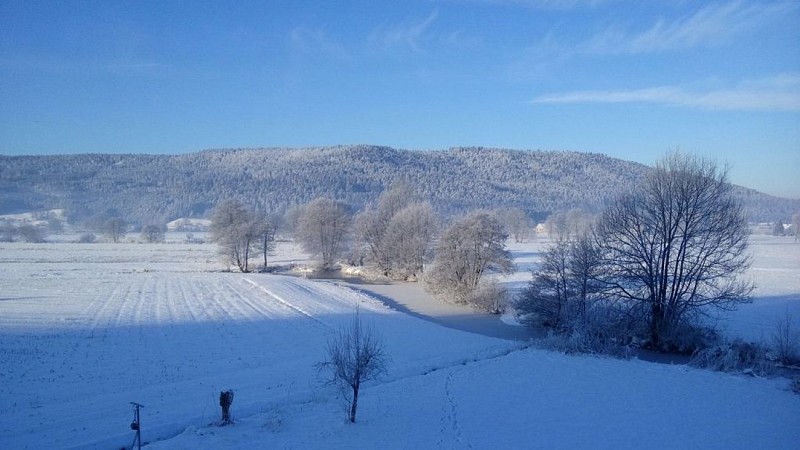 GITE LA CHAUVE JOTTE - DOMMARTIN-LES-RREMIEMONT