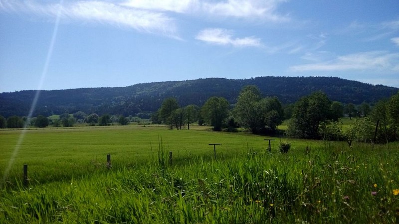 GITE LA CHAUVE JOTTE - DOMMARTIN-LES-RREMIEMONT