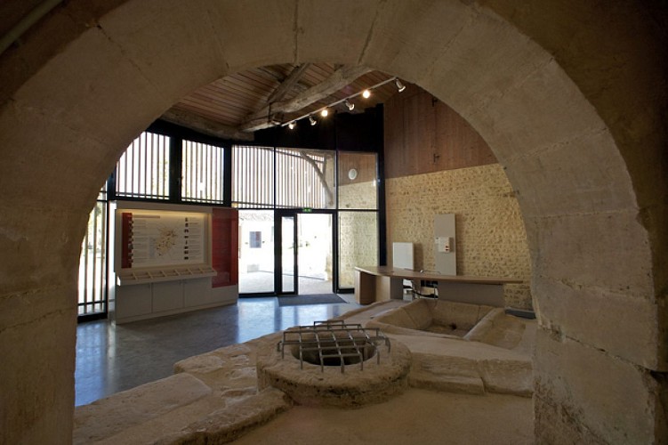 Yacimiento arqueológico y área de interpretación galo-romana