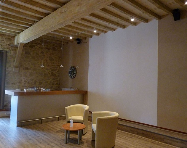 Diusse Château de Diusse cph SMT NB mars 2023 (5) - Copie