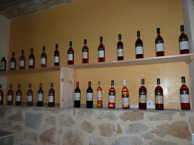 Diusse Château de Diusse cph SMT NB mars 2023 (7)