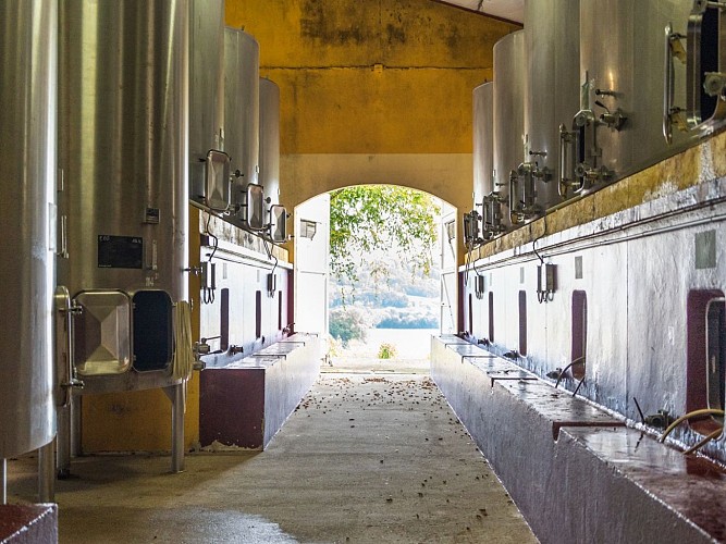 Diusse Château de Diusse @Château Diusse oct 2024 (2)