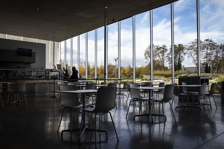 CAFÉTÉRIA DU LOUVRE-LENS - La pause du Cerisier
