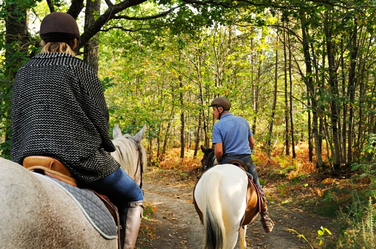 Ferme équestre des Bleuets_Vaas