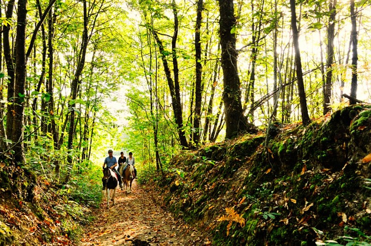 Ferme équestre des Bleuets_Vaas