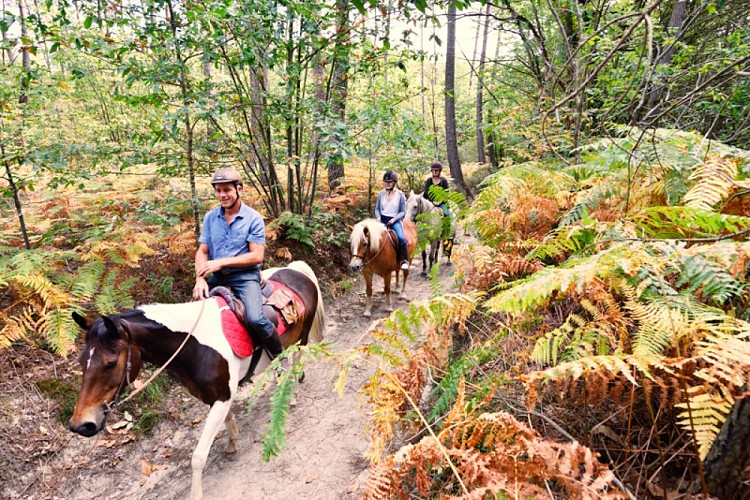 Ferme équestre des Bleuets_Vaas