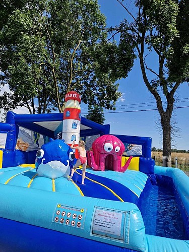 Structure gonflable aquatique à la pisicne