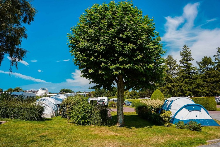 @Nicolas Barbanchon-100