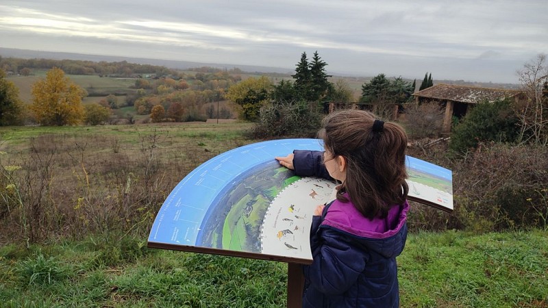 tabledorientationweb