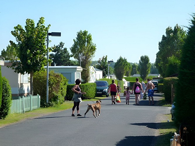 Camping les Salines à Colleville-Montgomery - allée