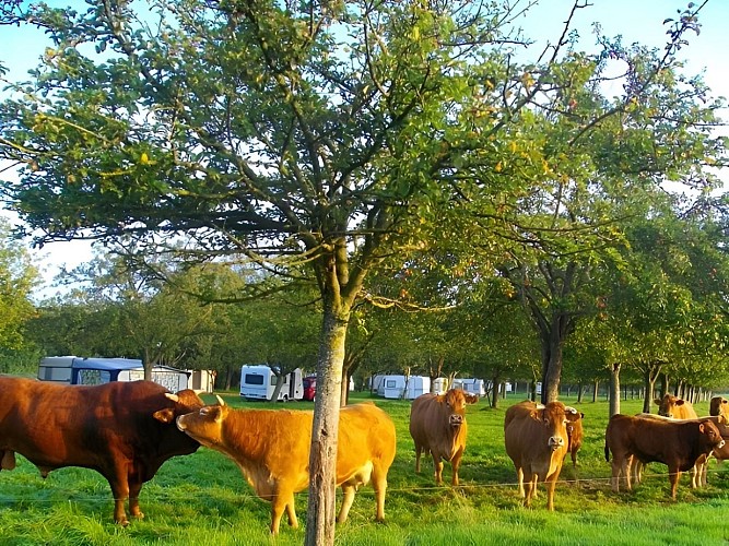 Aire Naturelle Reux -3 800X600