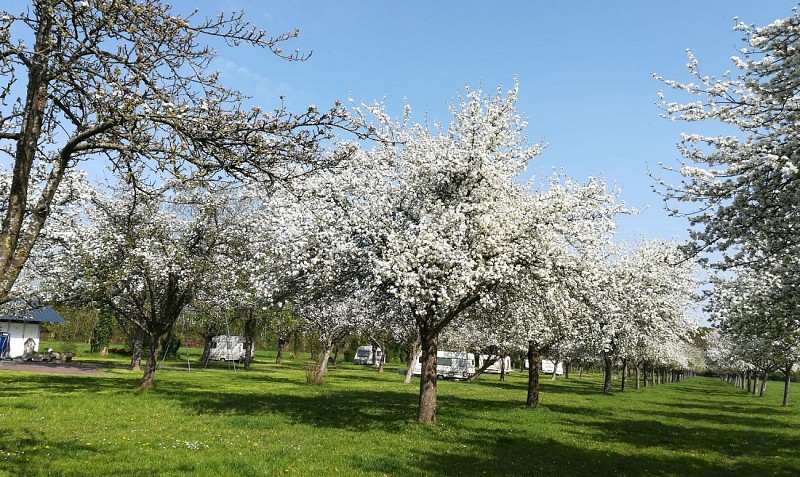 aire naturelle Mme Legrix