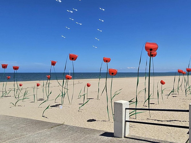 la plage de Merville-Franceville-Plage